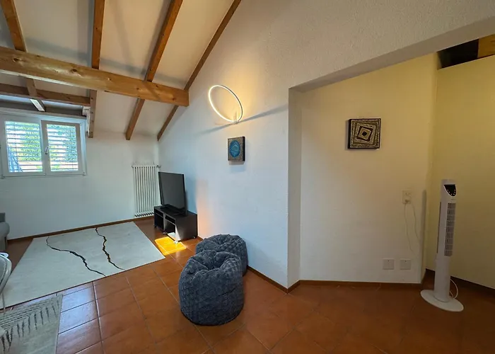 Apartment Special In Ascona